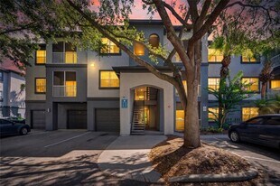 13215 Sanctuary Cove Dr in Temple Terrace, FL - Building Photo