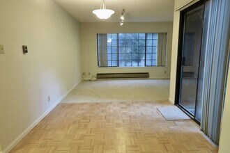 7 Codman Pl in San Francisco, CA - Building Photo - Building Photo