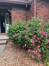 990 Pelee Dr in Akron, OH - Building Photo - Building Photo