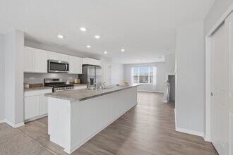 217 Goldenrod Dr in Elgin, IL - Building Photo - Building Photo