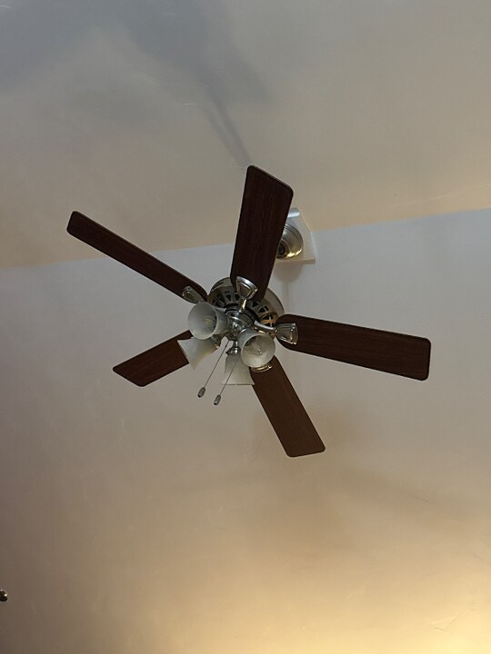 10109 Lees Crossing Ln in Fredericksburg, VA - Building Photo