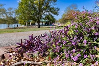 Apartamentos en Maryland Heights, MO