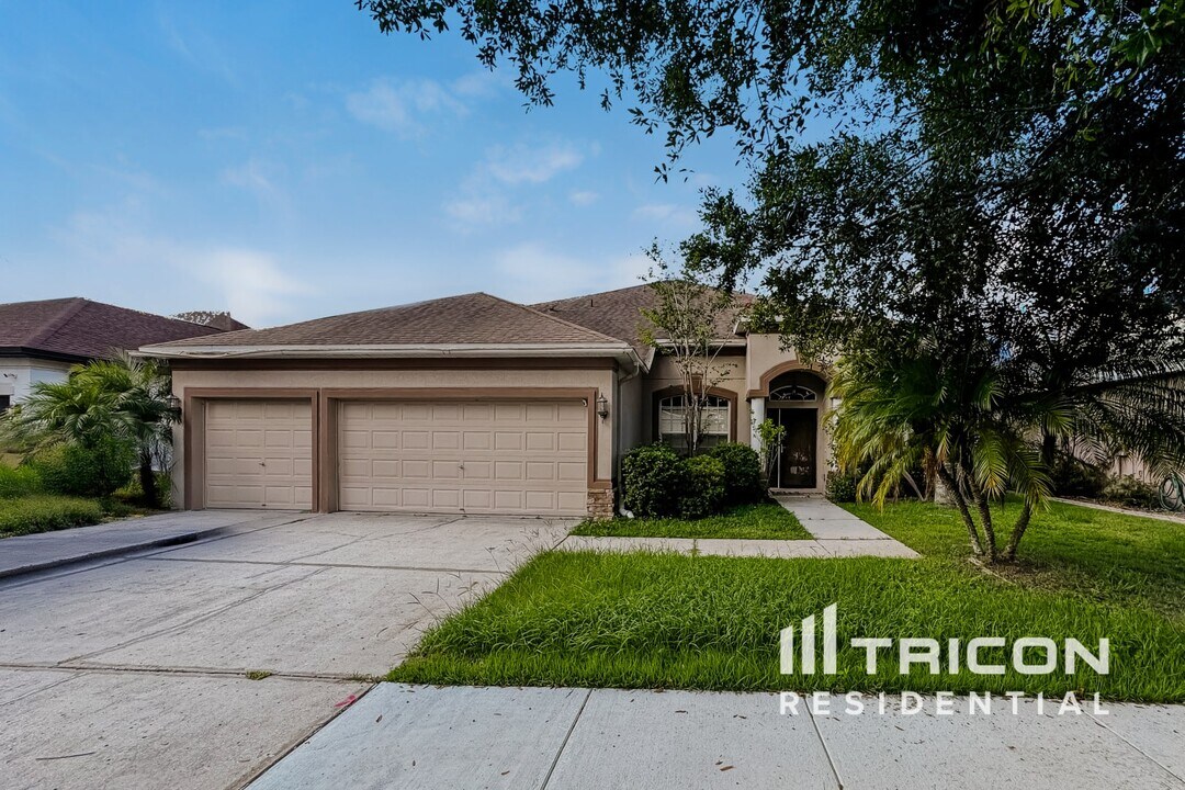 11767 Summer Springs Dr in Riverview, FL - Building Photo