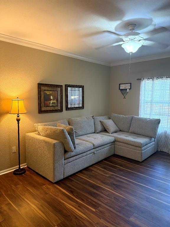 2141 Portofino Pl in Palm Harbor, FL - Building Photo - Building Photo