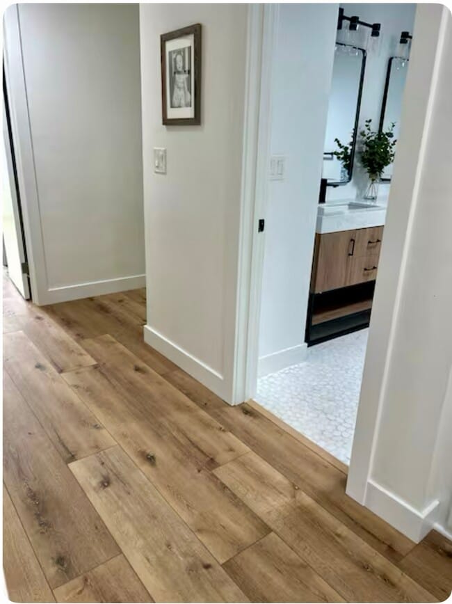 1528 Avenida De Los Lirios in Encinitas, CA - Building Photo - Building Photo