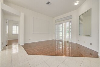 3713 Siena Ln in Palm Harbor, FL - Foto de edificio - Building Photo