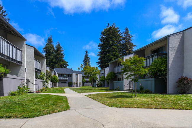 Emerald Bay Apartments in Santa Cruz, CA - Building Photo - Building Photo