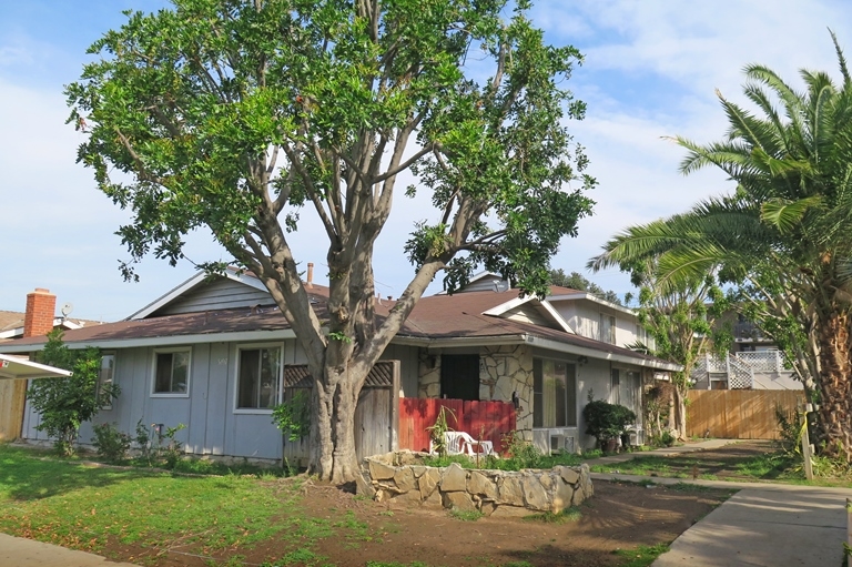 3107 Topaz Ln in Fullerton, CA - Foto de edificio