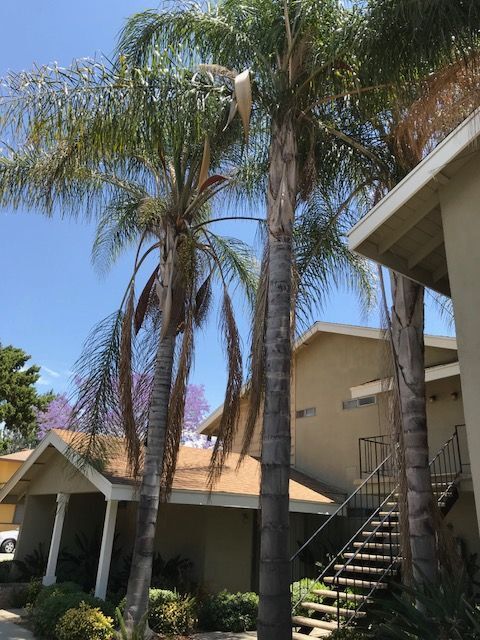 2016 Evergreen St in La Verne, CA - Foto de edificio - Building Photo