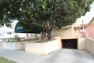 3746 Mentone Ave in Los Angeles, CA - Building Photo - Building Photo