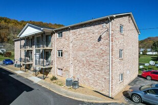 Weber House Apartments in Weber City, VA - Building Photo