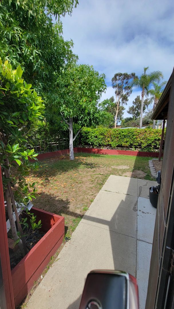 271 Fraxinella St in Encinitas, CA - Building Photo - Building Photo