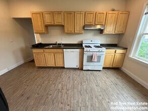 175 River St, Unit 4-bed 1.5bath CambPort in Cambridge, MA - Building Photo - Building Photo