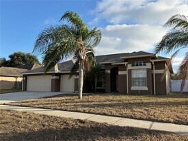 12032 Timberhill Dr in Riverview, FL - Building Photo