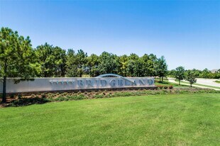 11255 Tropical Forest Wy in Cypress, TX - Building Photo