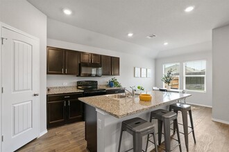 15101 Siberian Elm Ln in Austin, TX - Building Photo - Building Photo