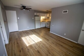 3639 Blaine Ave in St. Louis, MO - Building Photo - Building Photo