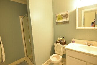 23 Cameron St, Unit 2 in Brookline, MA - Building Photo - Building Photo