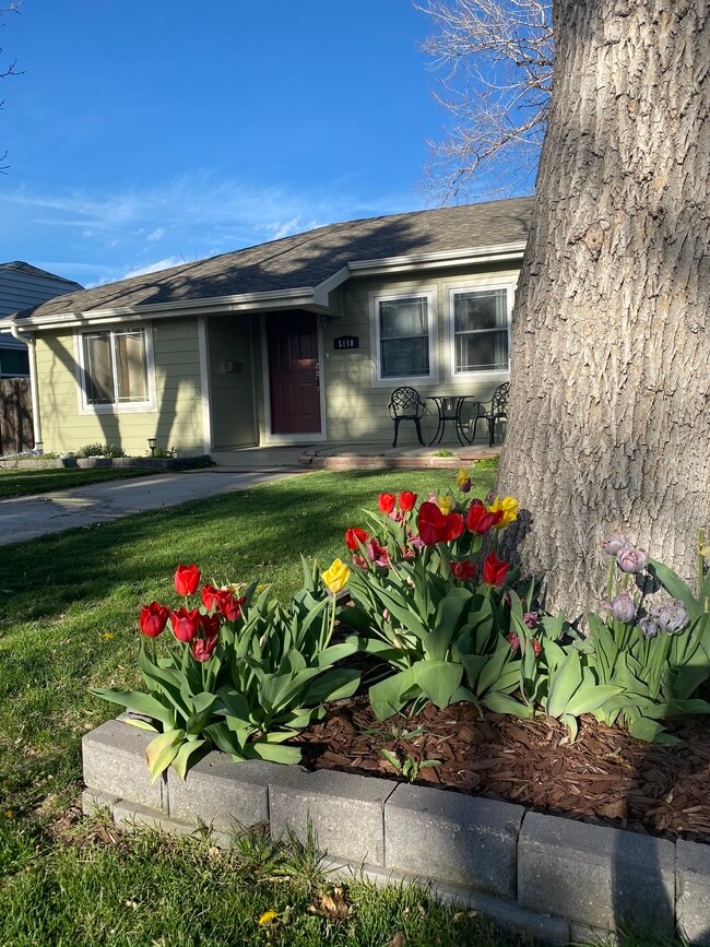 5110 Clay St in Denver, CO - Building Photo - Building Photo