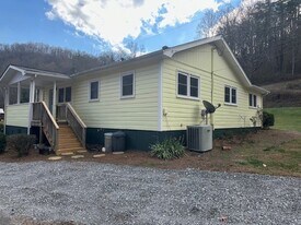 25 Mudpuppy Ln in Sylva, NC - Building Photo - Building Photo