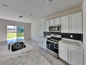 17249 Wheatberry Blvd in Parrish, FL - Building Photo - Building Photo