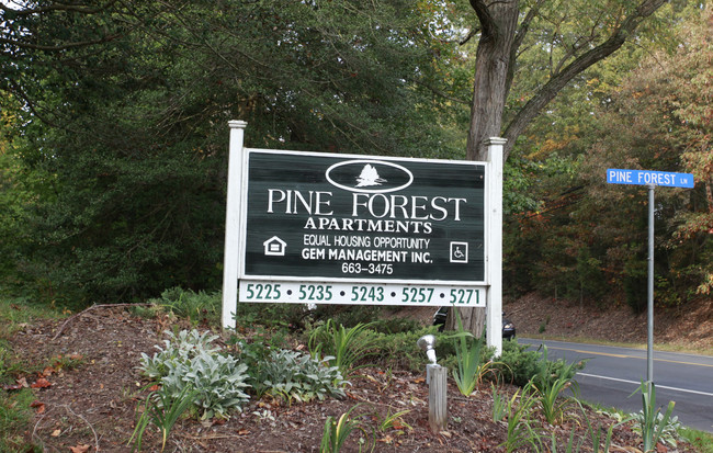 Pine Forest Apartments in King George, VA - Building Photo - Building Photo