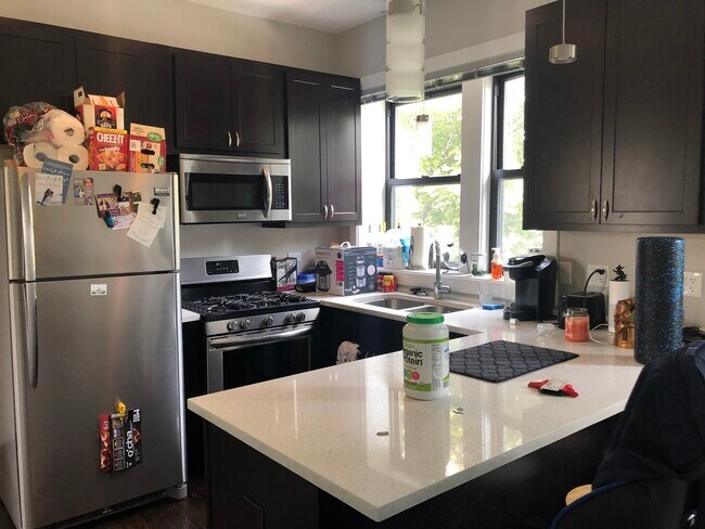 2048 N Damen Ave in Chicago, IL - Building Photo - Building Photo