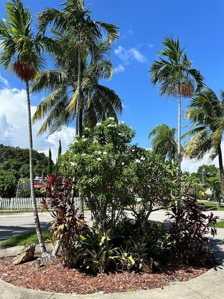 161 SW 52nd Ct in Coral Gables, FL - Building Photo - Building Photo