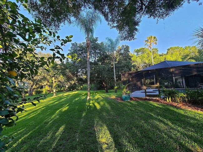 907 Centerbrook Dr in Brandon, FL - Building Photo - Building Photo