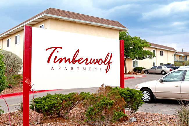 Timberwolf Apartments in El Paso, TX - Building Photo - Other