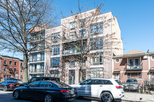 717 Prospect Pl in Brooklyn, NY - Foto de edificio - Building Photo