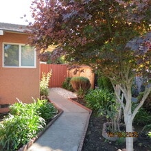 2132 Town and Country Ln in Santa Clara, CA - Building Photo - Building Photo