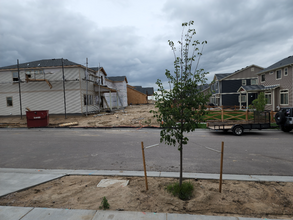 7046 Silvergrass Dr in Colorado Springs, CO - Building Photo - Building Photo