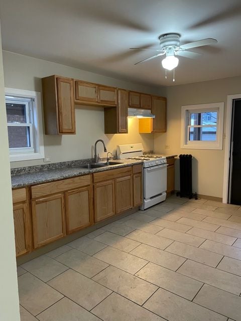 2529 N Austin Ave in Chicago, IL - Building Photo - Building Photo