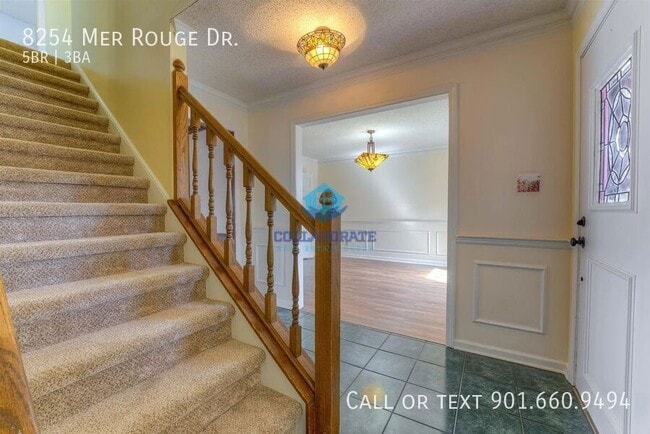 8254 Mer Rouge Dr in Germantown, TN - Building Photo - Building Photo