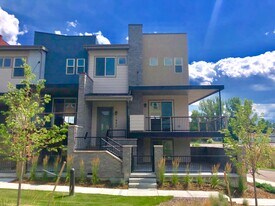 1007 Leonard Ln in Louisville, CO - Building Photo