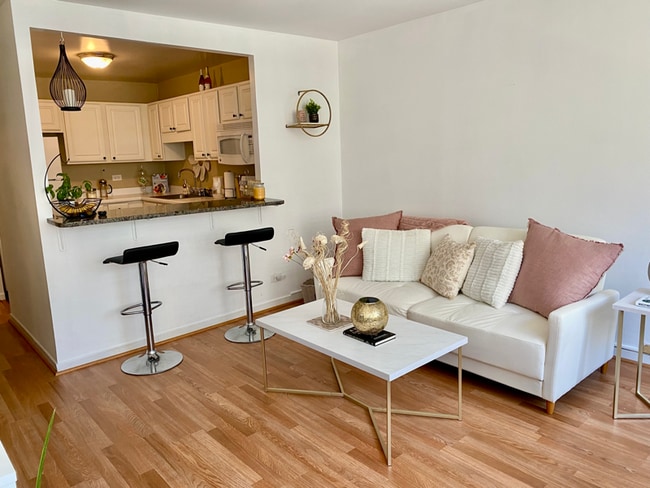 211 E Ohio St, Unit 1206 in Chicago, IL - Building Photo - Building Photo