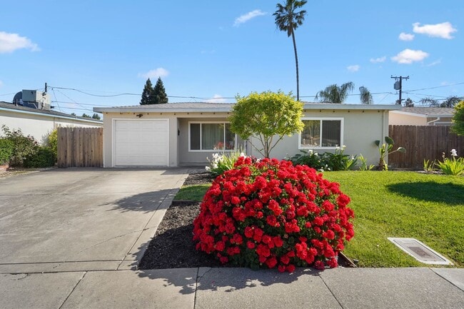 property at 520 McKnight Ln