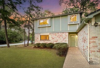 56 E White Willow Cir in Spring, TX - Building Photo - Building Photo