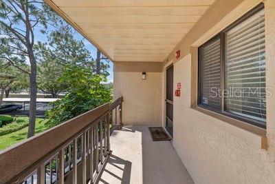 2693 Sabal Springs Cir in Clearwater, FL - Building Photo - Building Photo