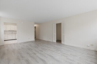 253 E Delaware Pl, Unit 12H in Chicago, IL - Building Photo - Building Photo