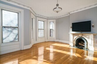 167 W Springfield St in Boston, MA - Building Photo - Building Photo