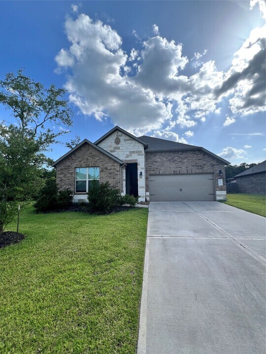 14223 Volcano Perch Dr in Shenandoah, TX - Building Photo