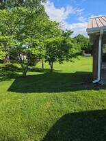 1495 Main St in Mosheim, TN - Building Photo