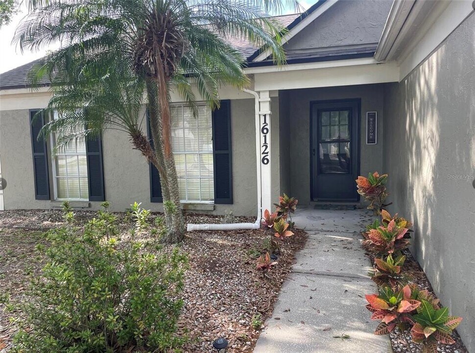 16126 Pebblebrook Dr in Tampa, FL - Building Photo