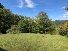 1111 Schoolhouse Gap Rd in Townsend, TN - Building Photo - Building Photo