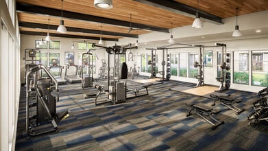 Alexan Lake Olympia in Missouri City, TX - Building Photo - Building Photo