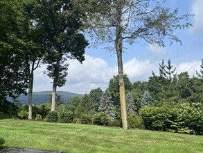 205 Lexington Ct in Cheshire, CT - Building Photo - Building Photo