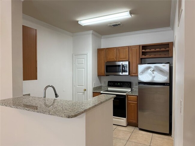 18105 Back Stretch Ln in Tampa, FL - Building Photo - Building Photo