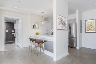 263 Northampton St, Unit 203 in Boston, MA - Building Photo - Building Photo